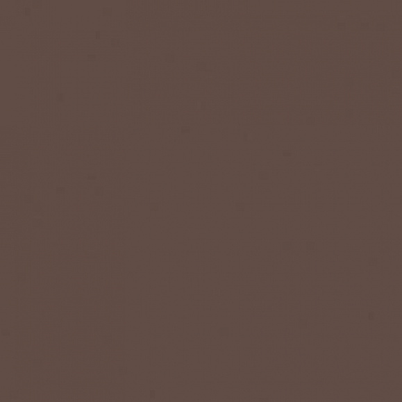 Керамогранитная плитка Estima RW04 120x60 см неполированный фото 1