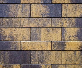 Тротуарная плитка Выбор Паркет мультиформатный Б.9.Псм.8 80 мм Листопад Янтарь