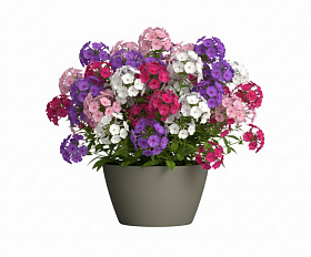 Кашпо Concretika Боул D80H45 Грине 7006