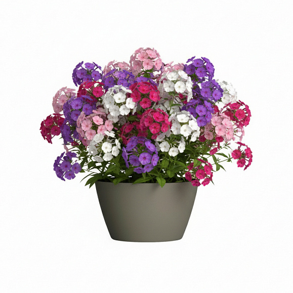 Кашпо Concretika Боул D80H45 Грине 7006 фото 6