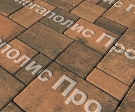 Тротуарная плитка Выбор Мюнхен Б.2. Фсм.6 60 мм Листопад Мустанг