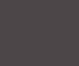 Керамогранитная плитка Estima RW034 160x80 см неполированный