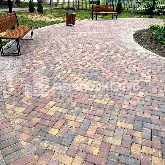 Брусчатка Braer Прямоугольник ColorMix 200х100х40мм цвет Мальва фото 4
