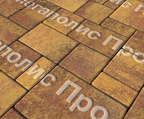 Тротуарная плитка Выбор Мюнхен Б.2. Фсм.6 60 мм Листопад Осень