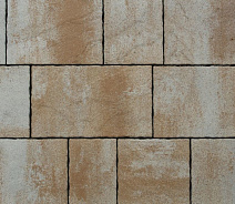 Тротуарная плитка Выбор Антара Искусственный камень Б.1.АН.6 60 мм. Степняк