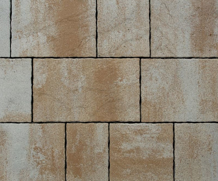 Тротуарная плитка Выбор Антара Искусственный камень Б.1.АН.6 60 мм. Степняк