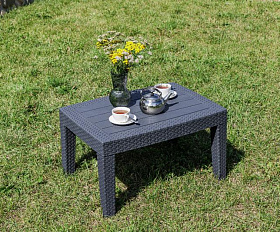 Обеденный комплект Lana XS Royal Family из пластика, цвет графит