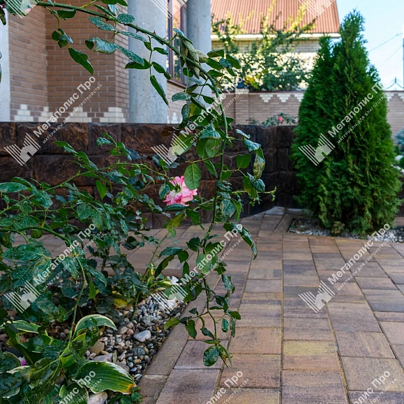 Тротуарная плитка Braer Старый Город Ландхаус 60 мм Colormix Прайд фото 8