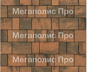 Тротуарная плитка Выбор Старый город Листопад 1Ф.6 60 мм. Мустанг Гранит