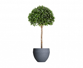 Кашпо Concretika Giro D70x60 Basalt