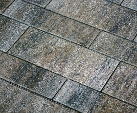 Тротуарная плитка Выбор Паркет мультиформатный Б.9.Псм.8 80 мм Листопад Песчаник