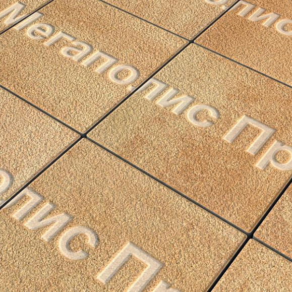 Тротуарные плиты Выбор Квадрум  В.1.К.10 300х300х100 мм Листопад Гранит Сахара фото 2