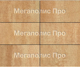 Тротуарная плитка Выбор Прямоугольник Б.5.П.10 600х300х100 мм Листопад Гранит Сахара