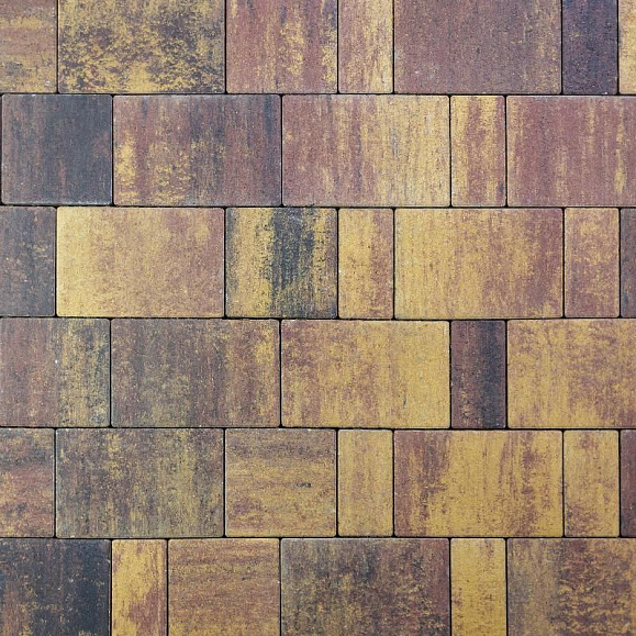 Тротуарная плитка 342 Механический завод Новый Город ColorMix 40мм Виктория фото 1