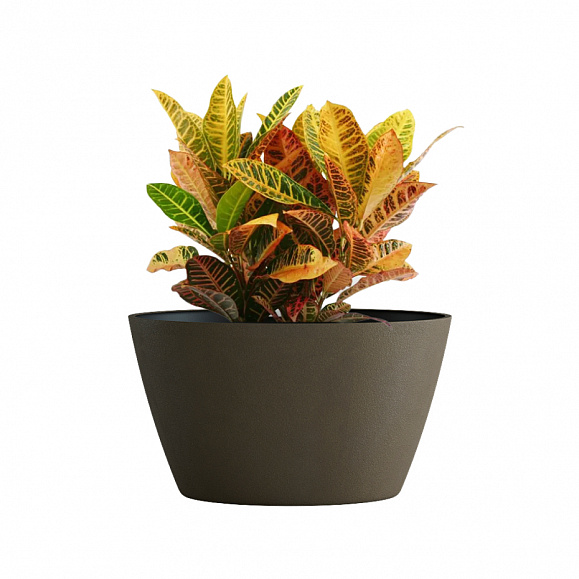 Кашпо Concretika Боул D80H45 Олива 310 256 фото 5