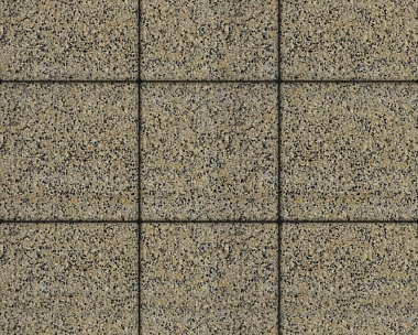 Тротуарные плиты Выбор Квадрат  Б.1.К.6 300х300х60 мм Гранит Желтый с черным