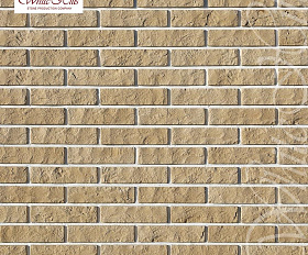 Облицовочный камень АЛТЕН БРИК 312-10