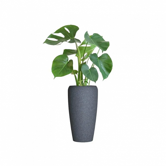 Кашпо TERRAFAKTURA Альто D38(44)х80 Базальт фото 2