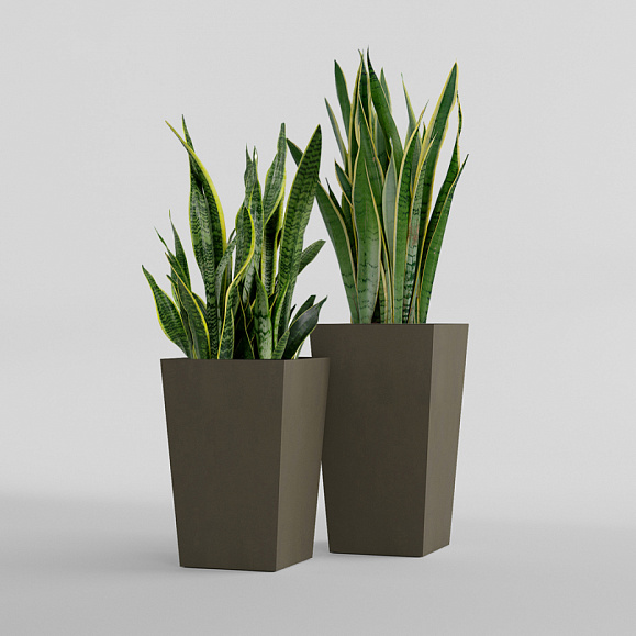 Кашпо Concretika Коник 40x40x70 Олива 310 256 фото 5