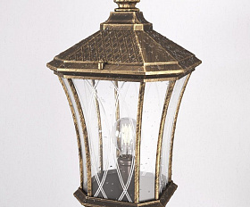 Уличный светильник Elektrostandard Virgo F IP44 GLXT-1450F черное золото