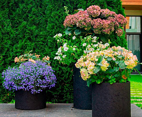 Кашпо Concretika Bowl D52 H29 Slanets