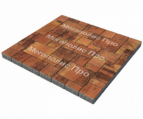 Тротуарная плитка Выбор Мюнхен Б.2. Фсм.6 60 мм Листопад Саванна