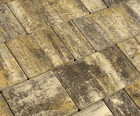 Тротуарная плитка 342 Механический завод Новый Город ColorMix 40мм Байкал