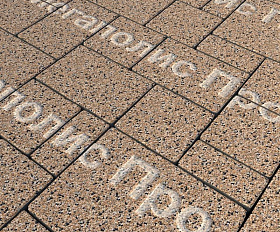 Тротуарная плитка Выбор Мюнхен Б.2. Фсм.6 60 мм Стоунмикс Кремовый с черным