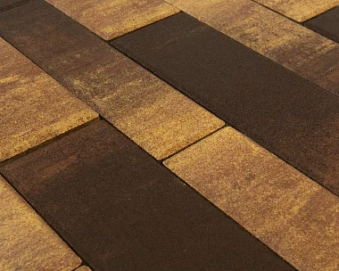 Тротуарная плитка Braer Домино, 60 мм. COLOR MIX «Тип 24 Сафари»