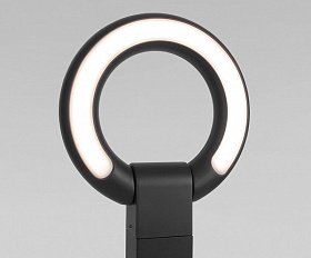 Уличный светильник Elektrostandard NAVI LED 35164/F черный