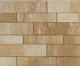 Тротуарная плитка Braer Домино, 60 мм COLOR MIX "Плато"