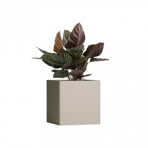 Кашпо TERRAFAKTURA Квадро 50x50x50 Дюна фото 1
