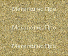 Тротуарная плита Фабрика Готика 600х300х60 мм Голд 4