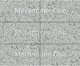 Тротуарная плита Фабрика Готика 600х300х60 мм Грис Парга FINO