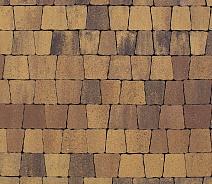Тротуарная плитка Выбор Антик Б.3.А.6 60мм Янтарь