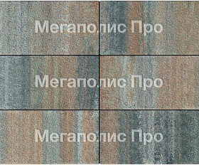 Тротуарная плитка Выбор Прямоугольник Б.5.П.10 600х300х100 мм Листопад Гранит Клен