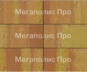 Тротуарная плитка Выбор Прямоугольник Б.5.П.10 600х300х100 мм Листопад Каир