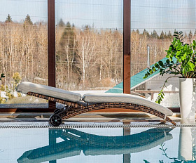 Шезлонг Agata Royal Family из искусственного ротанга с матрасом, цвет коричневый