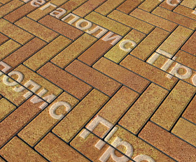 Тротуарная плитка Выбор Паркет Б.4.П.6 Листопад Каир