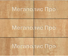Тротуарная плитка Выбор Прямоугольник Б.5.П.8 600х300х80 мм Листопад Сахара