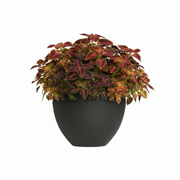 Кашпо Concretika Гира D50H43 Идеально черный фото 6