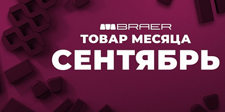 Акция на тротуарную плитку Braer