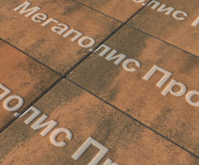 Тротуарная плитка Выбор Прямоугольник Б.5.П.10 600х300х100 мм Листопад Мустанг