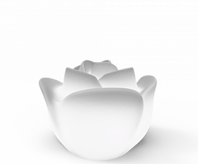 Светильник Berkano Rose Snow White Light