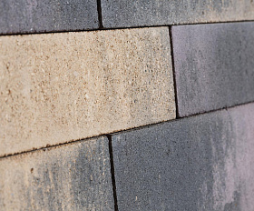 Тротуарная плитка Сиян Паркет П25-6 60 мм ColorMix Юпитер