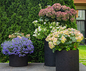 Кашпо Concretika Oval D30 H41 Slanets