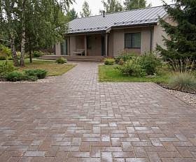 Клинкерная брусчатка ЛСР Франкфурт серебро 200х100х50 мм, коричневый