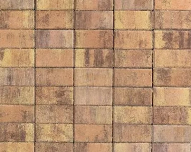 Брусчатка Braer Прямоугольник (кирпич) ColorMix 200х100х60 мм Прайд