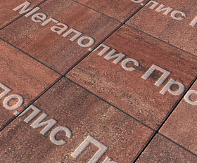 Тротуарные плиты Выбор Квадрум В.1.К.10 300х300х100 мм Листопад Барселона