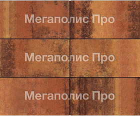 Тротуарная плитка Выбор Прямоугольник Б.5.П.8 600х300х80 мм Листопад Саванна